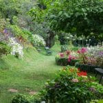 Funchal Old Town and Palheiro Gardens
