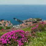 Câmara de Lobos