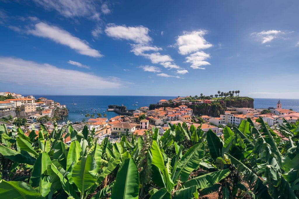 A Tukway Adventure: Exploring Madeira's Hidden Gems 3 adventure
