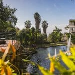 Monte Gardens and Toboggans