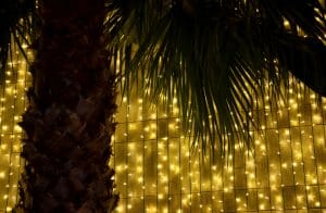 Funchal Christmas Lights