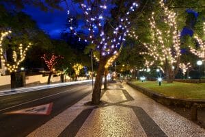 Funchal Christmas Lights