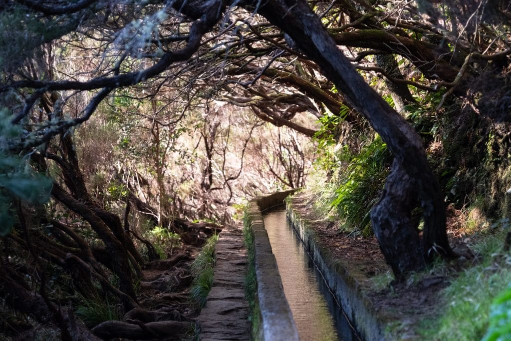 Levada walks