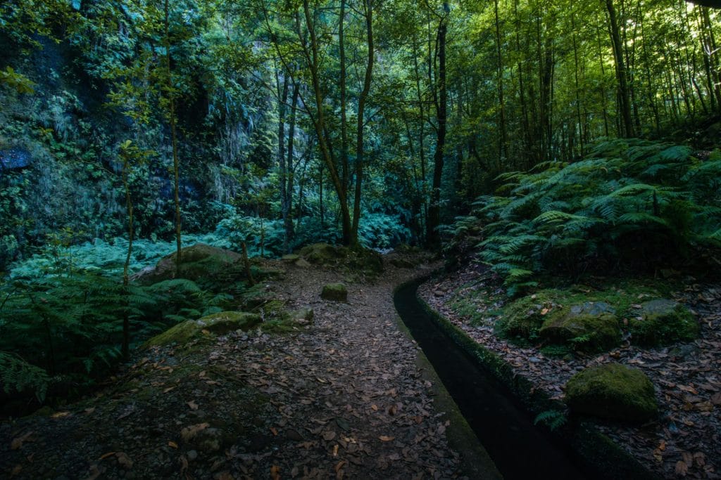 Levada walks