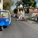 Embark on a Fun Journey: Carrinhos de Cesto in Madeira