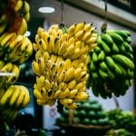 Madeira’s Bananas: A Flavorful Journey with Tukway