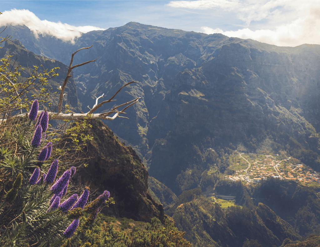 madeira